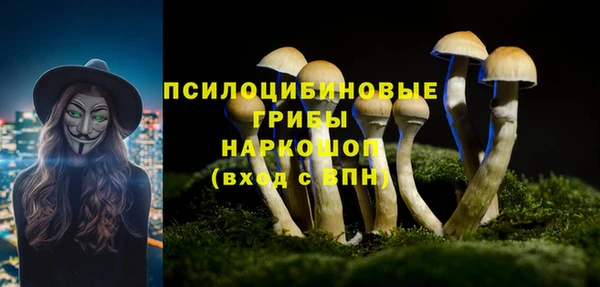 тгк Волоколамск