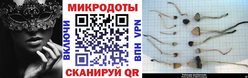 Купить где  Красавино  Галлюциногенные грибы MAGIC MUSHROOMS 